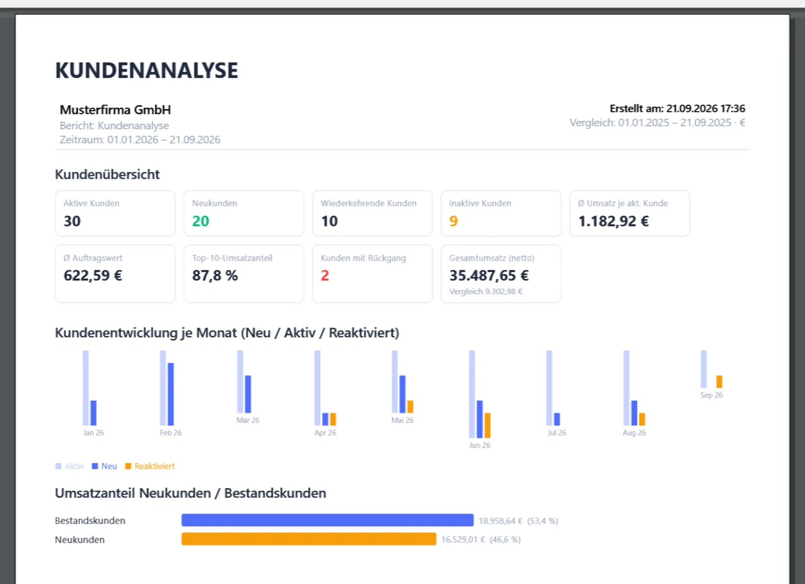 Seite 1 der Kundenanalyse mit Kennzahlenkarten, Kundenentwicklung je Monat und Umsatzanteil von Neu- und Bestandskunden