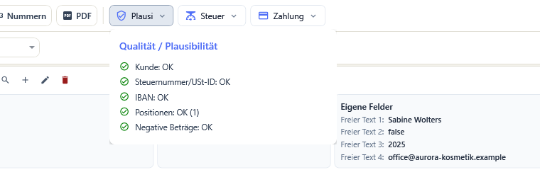 Die geöffnete Karte Qualität und Plausibilität mit den fünf Prüfungen Kunde, Steuernummer, IBAN, Positionen und negative Beträge